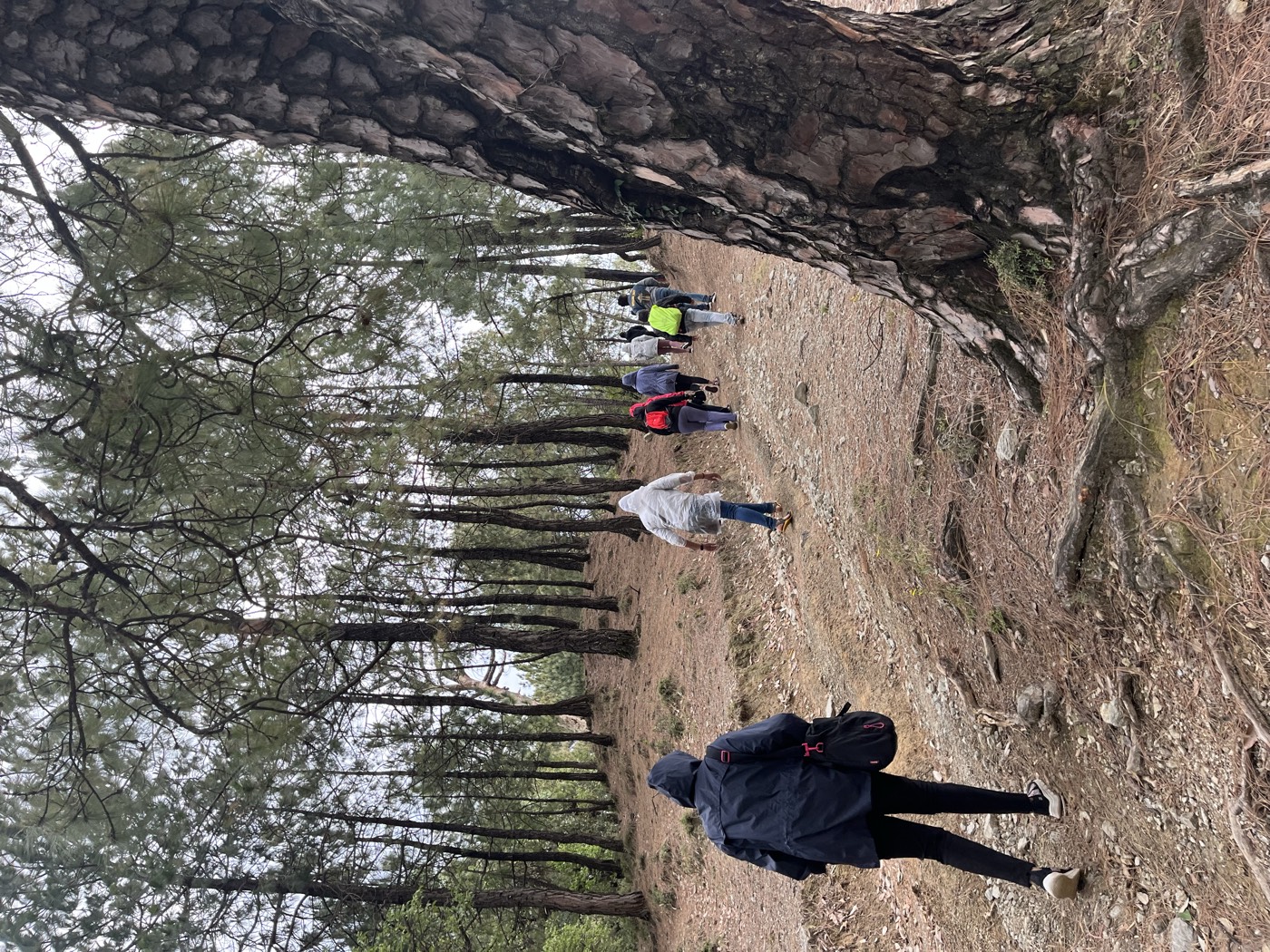 A moment from an Avyukta Circle retreat